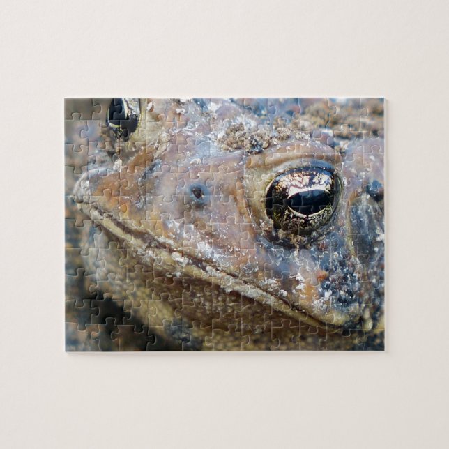 Puzzle face crapaud (Horizontal)