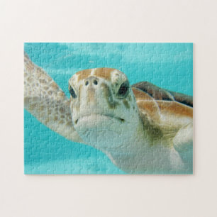 Puzzle Face de tortue de mer douce dans l'eau claire