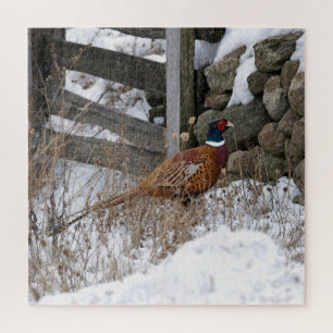 Puzzle Faisan dans la neige