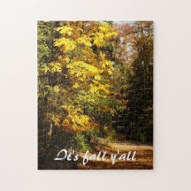 Fall Foliage on country road