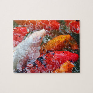 Puzzle Falln Gathering Koi