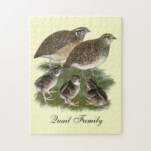Puzzle Famille de cailles Coturnix