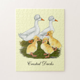 Puzzle Famille de canards en cage