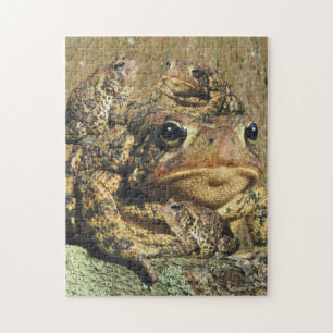 Puzzle Famille de crapaud