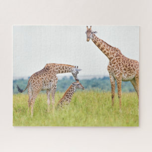 Puzzle Famille de girafe des images   de Getty