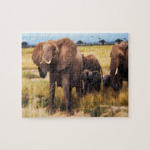 Puzzle famille éléphant