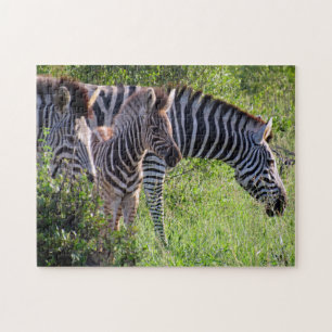 Puzzle famille zèbre