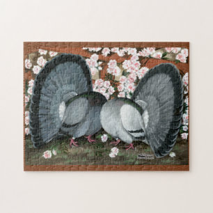 Puzzle Fantail Pigeons Matched Pair