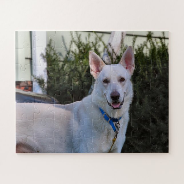 Puzzle Fantôme (Horizontal)