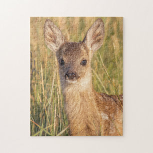 Puzzle Faon de chevreuil dans l'herbe de prairie