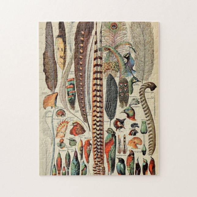 Puzzle Feather Bird Wildlife Plumes d'antiquités (Vertical)