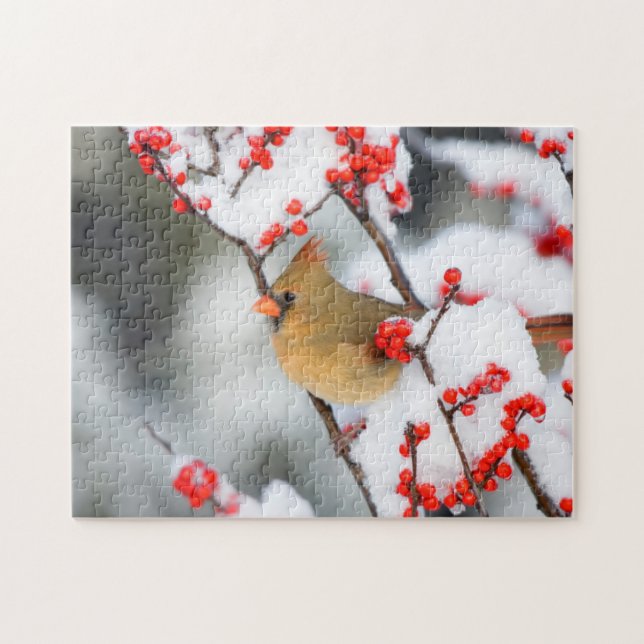 Puzzle Femme cardinale du Nord sur le canneberge commun (Horizontal)