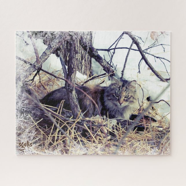 Puzzle Feral Cat in Winter Photo Art (Horizontal)