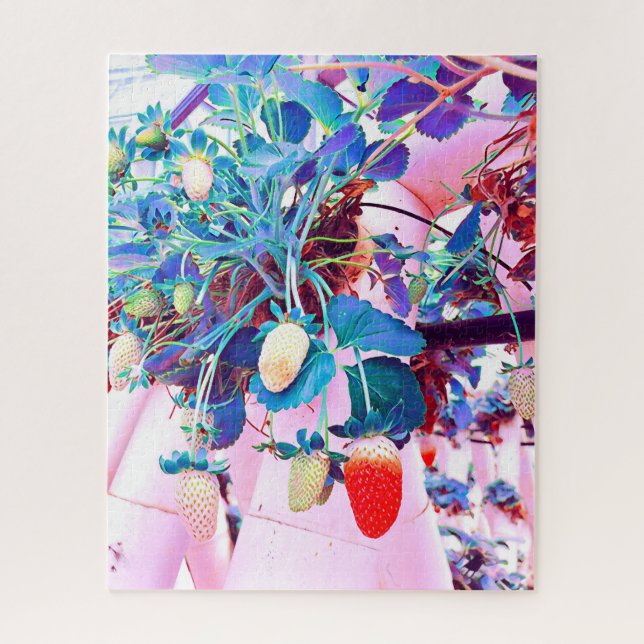 Puzzle Ferme de fraises Port Macquarie Australie (Vertical)