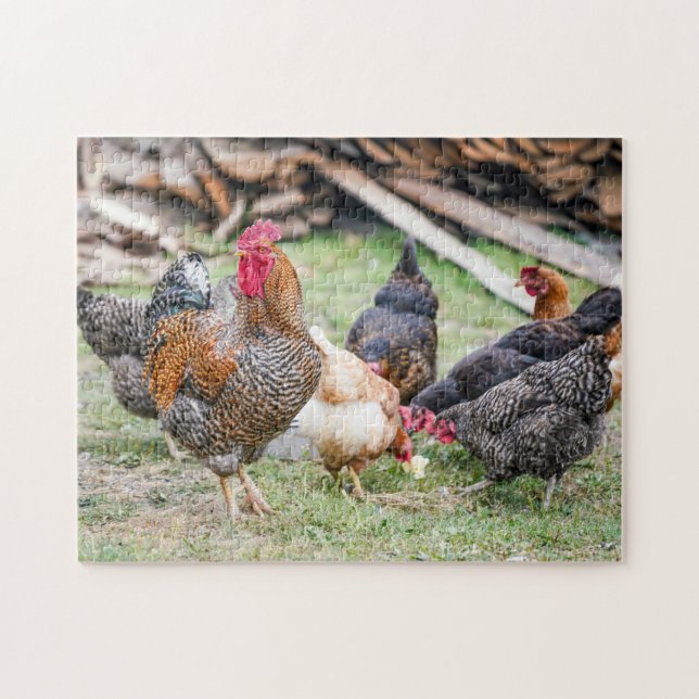 Puzzle Ferme Familiale Des Poulets Et Des Poules Sauvages (Horizontal)