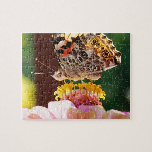 Puzzle Fermer le papillon sur une fleur rose de Zinnia (Horizontal)