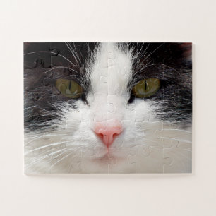 Puzzle Fermer le visage du chat, facile