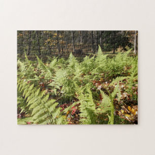 Puzzle Fermes d'automne