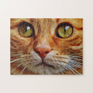 Puzzle Fermez les yeux de chat orange tabby