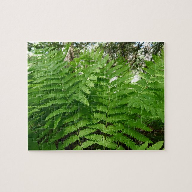 Puzzle Fern Fronds IV Nature verte Botanique (Horizontal)