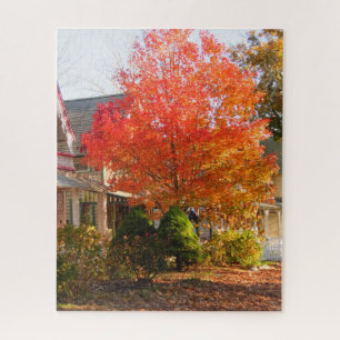 Puzzle Feuillage d'automne dans Oak Bluffs - Vignoble de