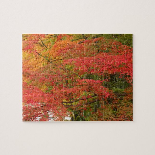 Puzzle Feuillage d'automne japonais (Horizontal)