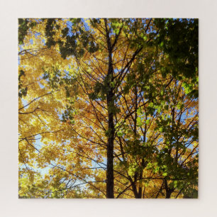 Puzzle Feuillage d'automne jaune et vert