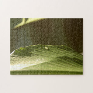 Puzzle Feuille de banane verte avec gouttelette d'eau Cou