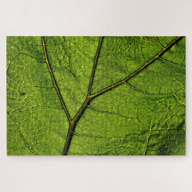 Puzzle Feuille de beurre verte (Horizontal)
