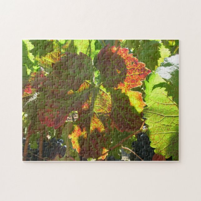 Puzzle - Feuille de raisin rouge sur la vigne (Horizontal)
