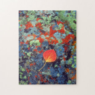 Puzzle Feuille de tremble sur une roche couverte de liche