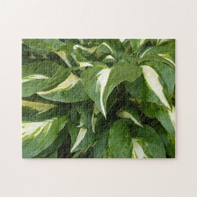 Puzzle Feuille Hosta (Horizontal)