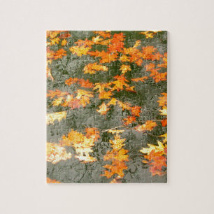 Puzzle feuille tombé sous la pluie