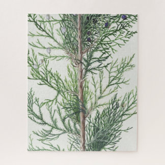 Puzzle Feuilles de branches d'arbre impossible