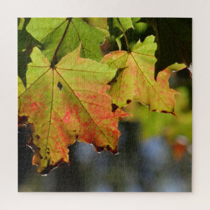 Puzzle Feuilles de chute colorées