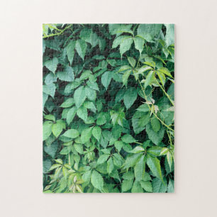 Puzzle Feuilles de raisins verts