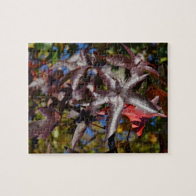 Puzzle Feuilles de Sweetgum à l'automne (Horizontal)