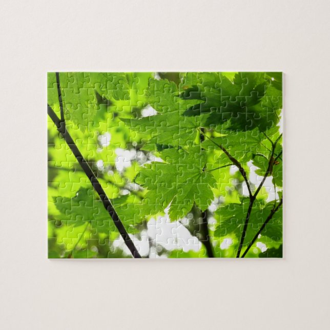 Puzzle Feuilles d'érable avec Raindrops (Horizontal)