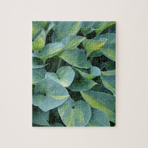 Puzzle Feuilles plantes verdoyants