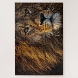 Puzzle Fierce Proud Lion Predator Dangerous Mane Big Cat