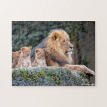 Fierté de lion