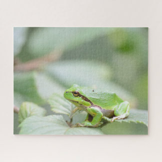Puzzle Fin européenne verte de grenouille d'arbre