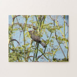 Puzzle - Finch assis dans les branches