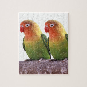 Puzzle "Fischer's Lovebird"の 優 製