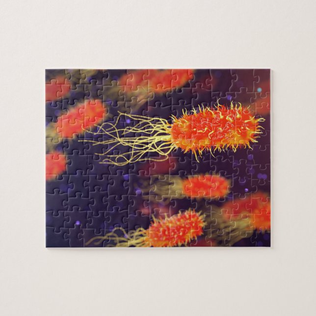 Puzzle Flagelles de bactéries (Horizontal)