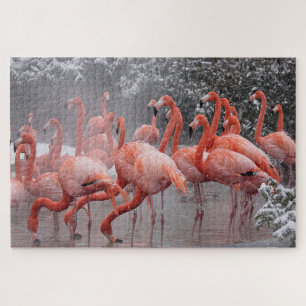 Puzzle Flamant rose américain