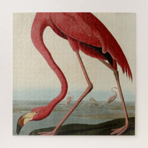Puzzle Flamant rose américain d'Audubon's Birds of Americ