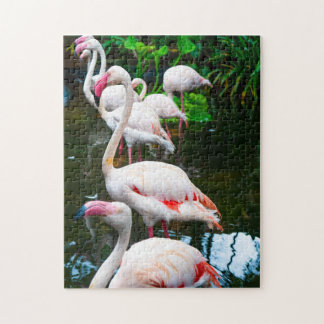 Puzzle Flamant rose naturel