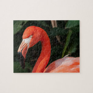 Puzzle Flamant rose rose vif