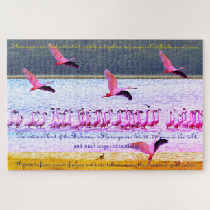 Puzzle Flamingo Fun 20"x30" - 1 014 pièces